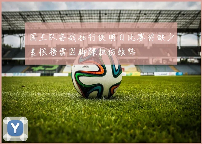 国王队备战独行侠明日比赛将缺少基根穆雷因脚踝扭伤缺阵