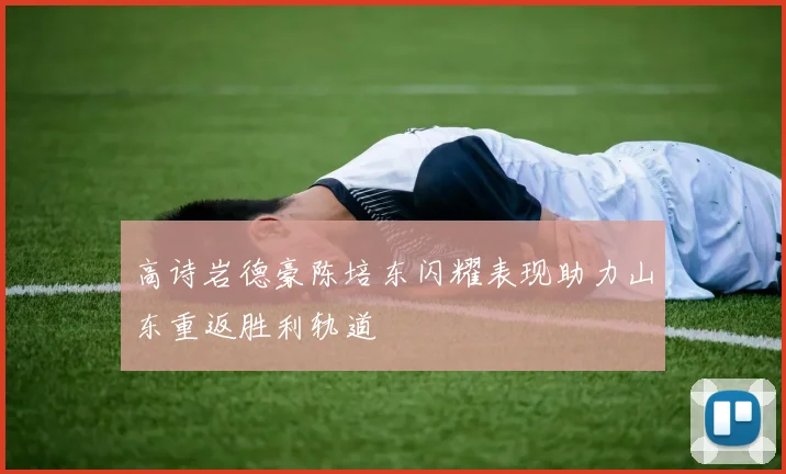 高诗岩德豪陈培东闪耀表现助力山东重返胜利轨道